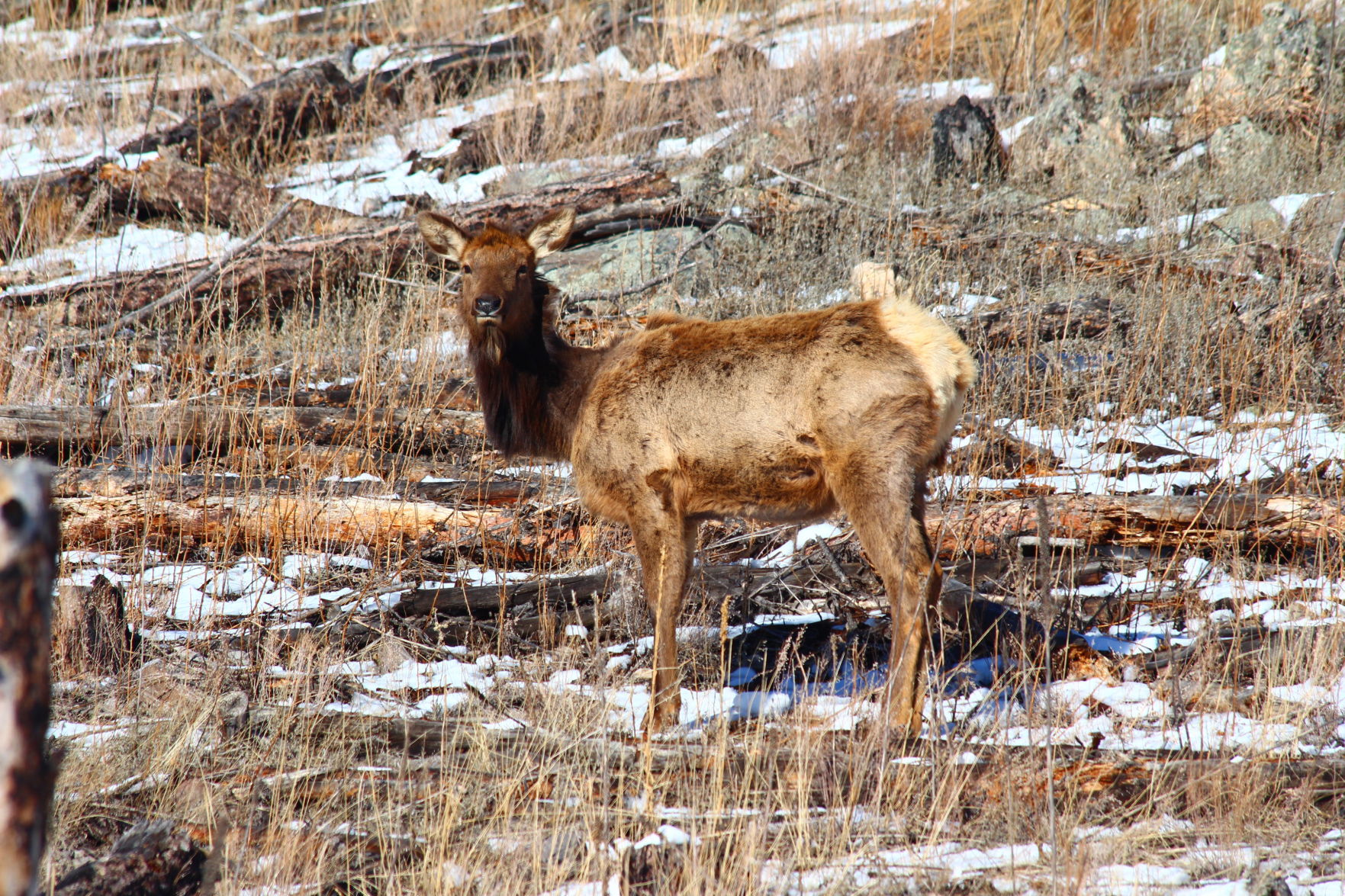 031818-nws-readerphoto